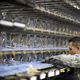 Illustration for article titled Get Hacked, Don’t Tell: Drone Base Didn’t Report Virus